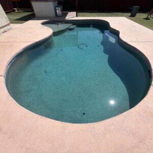Curved in-ground backyard pool with light-blue water, surrounded by a concrete patio and a grassy yard beyond.