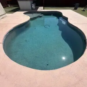 Curved in-ground backyard pool with light-blue water, surrounded by a concrete patio and a grassy yard beyond.