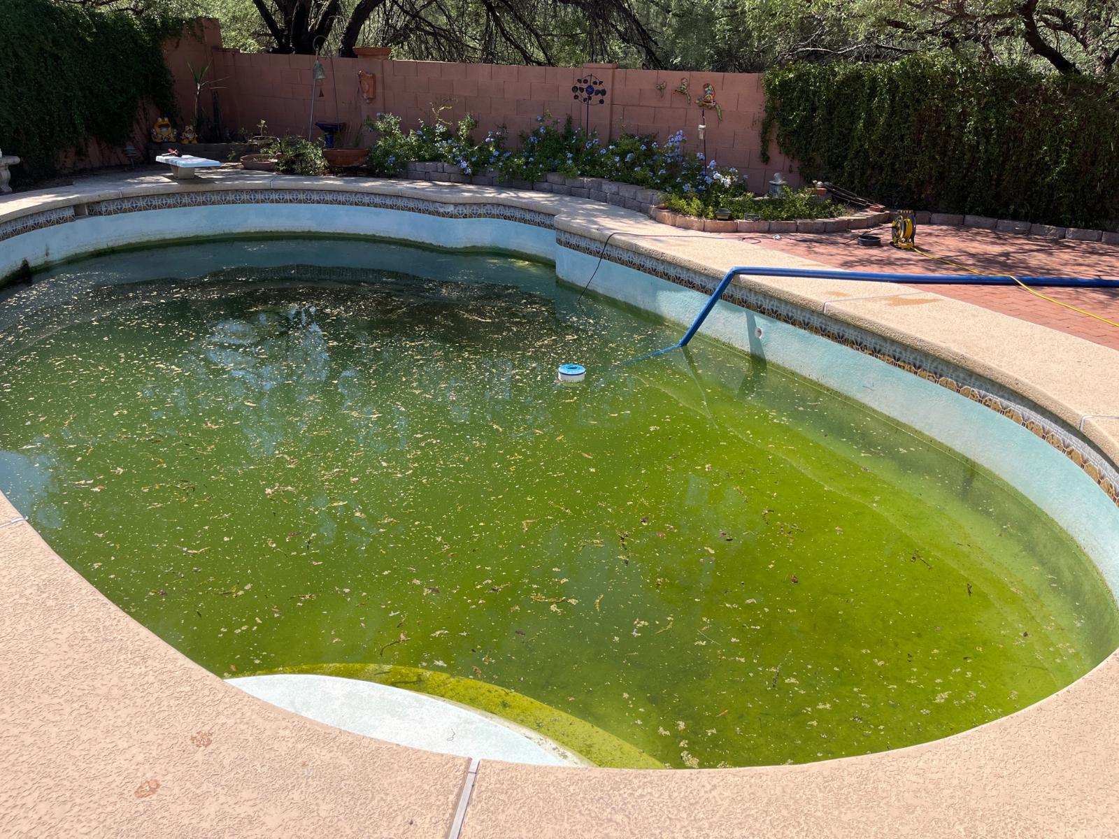 Green To Clean