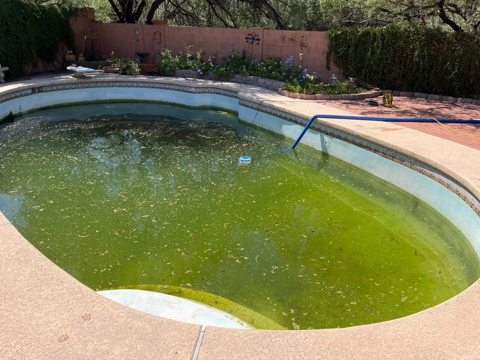 Green To Clean