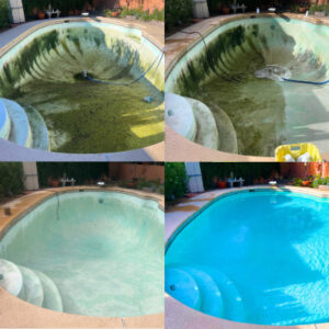 Pool Services green to clean pool service in Oro Valley AZ